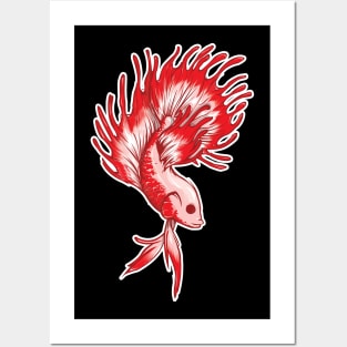 Crown Tail Siamese fighting fish Posters and Art